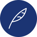 c-icon-02.png